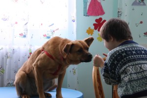 Abandoned children helped in therapy by Romanian stray dogs: video ...