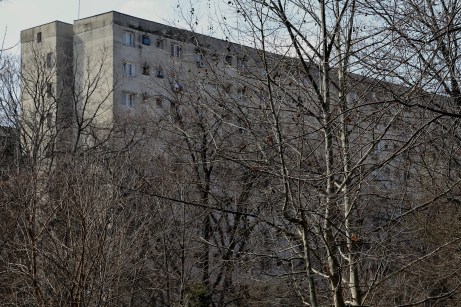 A Block 2018 DT M Bird